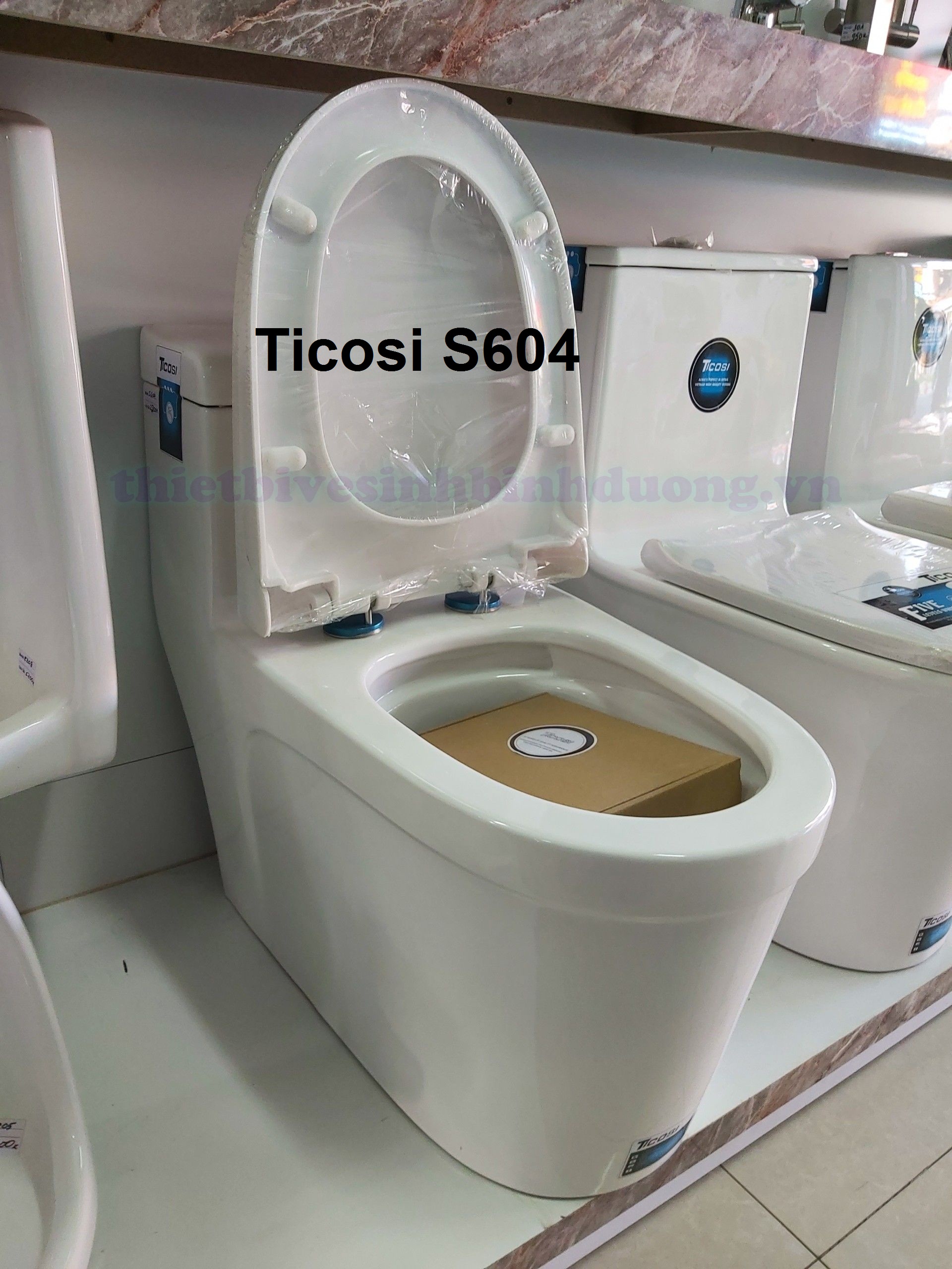 Hình thực tế Bồn cầu TICOSI S604